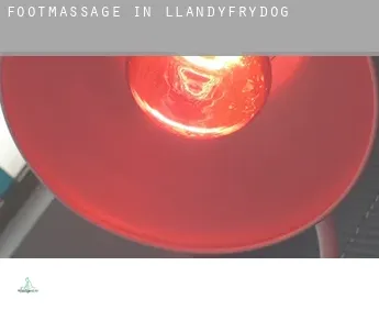 Foot massage in  Llandyfrydog